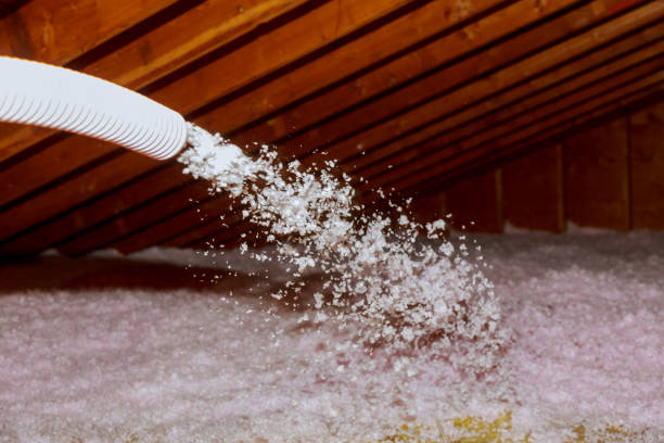 Best Commercial Insulation Services  in Clawson, MI